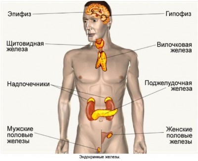 6 признаков того, что нужно срочно проверить гормоны