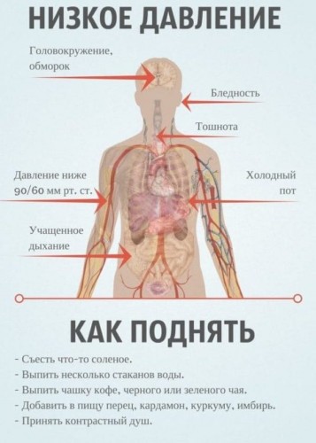 ГИПОТОНИЯ, низкое давление: причины, симптомы