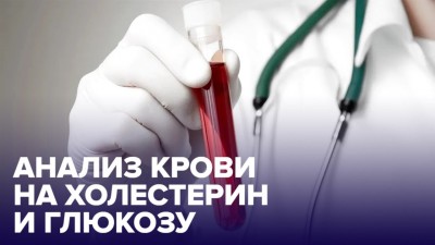 Глюкоза и холестерин