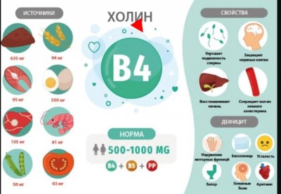 Холин витамин B-4. Суточная норма. Недостаток холина