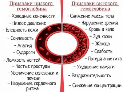 Гемоглобин и его рол в крови